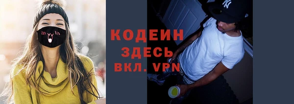 ПСИЛОЦИБИНОВЫЕ ГРИБЫ Гусь-Хрустальный
