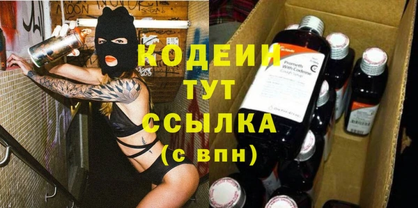 ПСИЛОЦИБИНОВЫЕ ГРИБЫ Гусь-Хрустальный