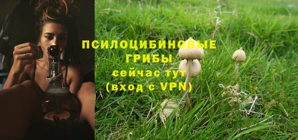 ПСИЛОЦИБИНОВЫЕ ГРИБЫ Гусь-Хрустальный