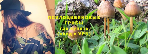 ПСИЛОЦИБИНОВЫЕ ГРИБЫ Гусь-Хрустальный