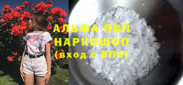 ПСИЛОЦИБИНОВЫЕ ГРИБЫ Гусь-Хрустальный