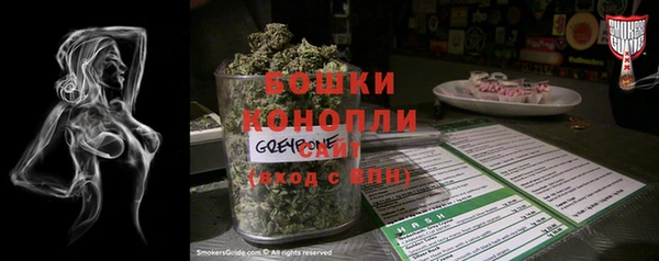ПСИЛОЦИБИНОВЫЕ ГРИБЫ Гусь-Хрустальный