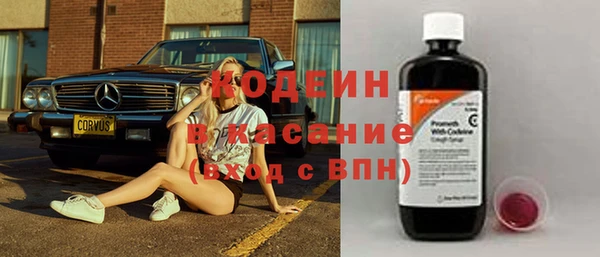 ПСИЛОЦИБИНОВЫЕ ГРИБЫ Гусь-Хрустальный