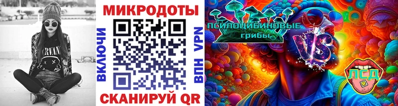 Галлюциногенные грибы Cubensis  ОМГ ОМГ   Грайворон 